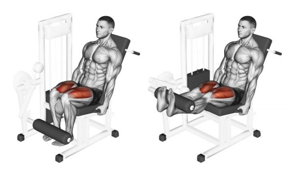 leg extension