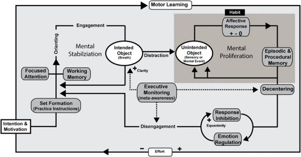 apprendimento-motorio