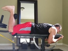 leg curl in palestra