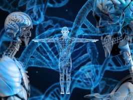 la genetica nella massa muscolare