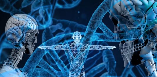 la genetica nella massa muscolare