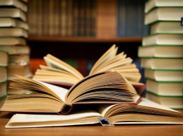 libri calisthenics