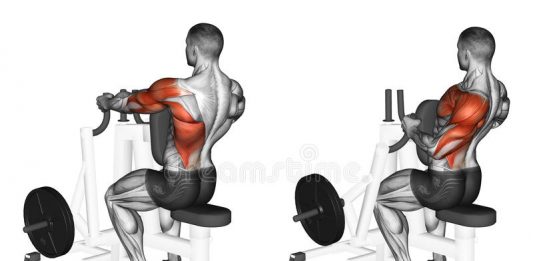 vertical row