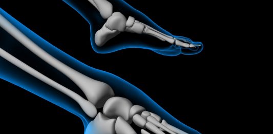 anatomia caviglia