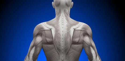 medio gluteo
