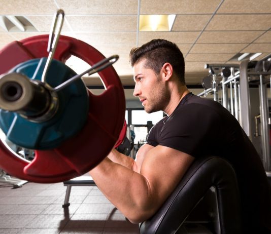 preacher curl